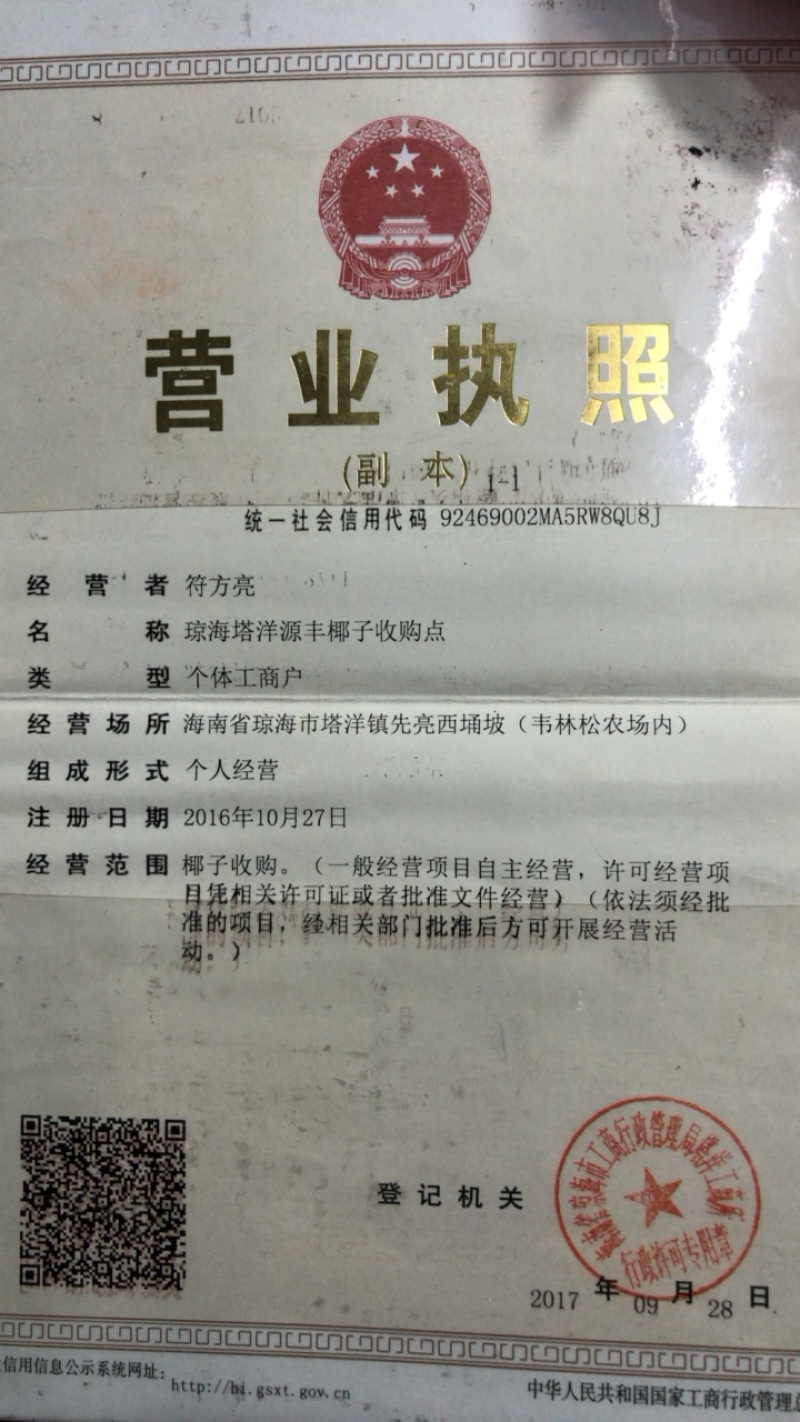 海南琼海带皮椰青个头饱满圆润皮质净亮，保证够个数无误差。