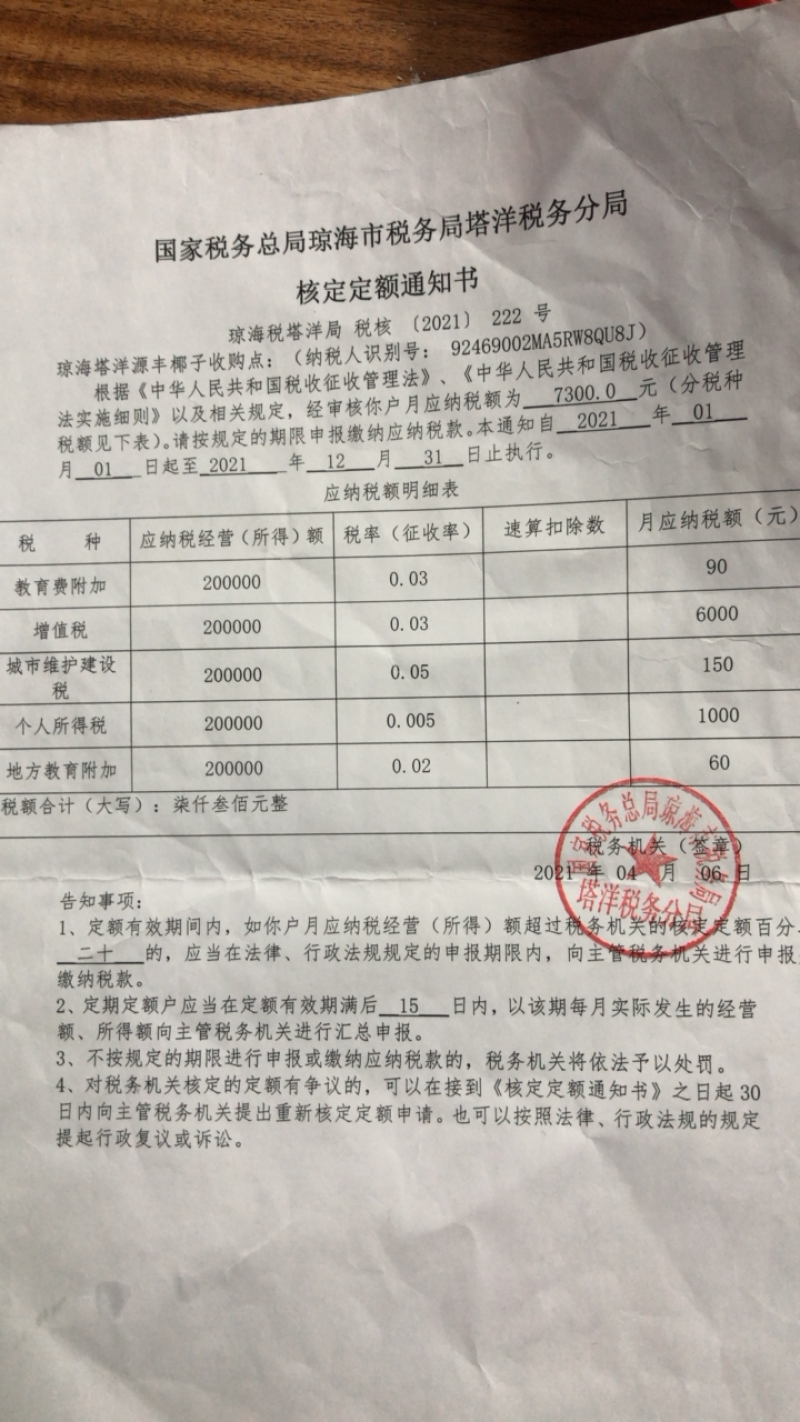 海南本地椰苗据有抗耐旱抗台风型.长果
