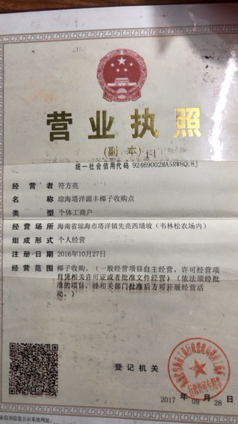 海南磨光去毛椰白个头饱满老幼适度，耐运输耐存放型