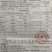 海南磨光去毛椰白个头饱满老幼适度，耐运输耐存放型