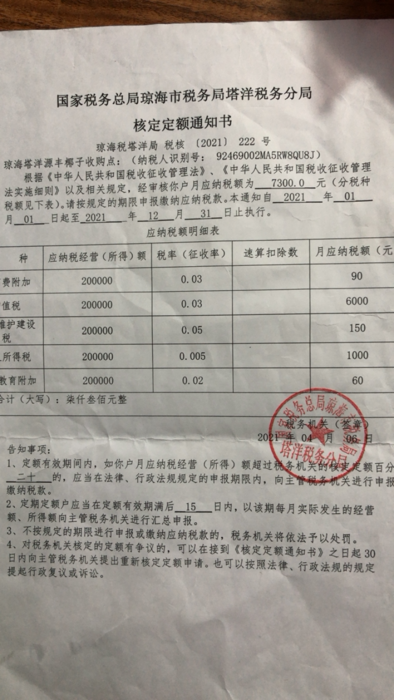 海南磨光去毛椰白个头饱满老幼适度，耐运输耐存放型