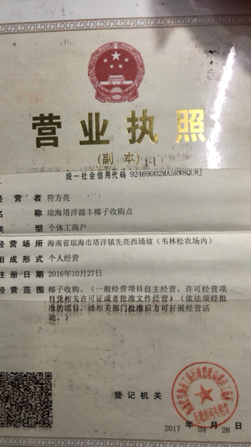 海南磨光去毛椰白个头饱满老幼适度，耐运输耐存放型