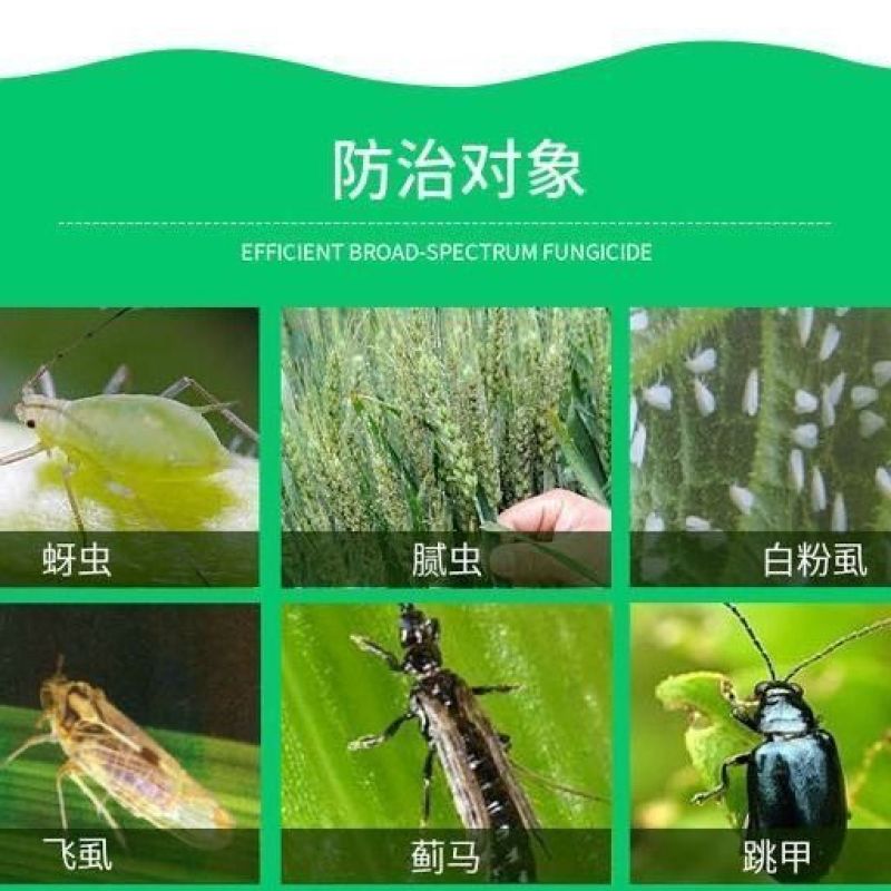 阔达苦参碱月无综梨树柑橘红蜘蛛蔬菜蚜虫茶园果园杀虫剂