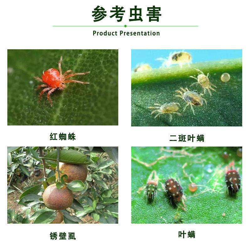 阔达苦参碱月无综梨树柑橘红蜘蛛蔬菜蚜虫茶园果园杀虫剂