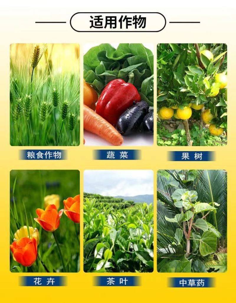 拍一送一钙镁硼锌铁钼1500克叶面肥送1瓶氨基酸