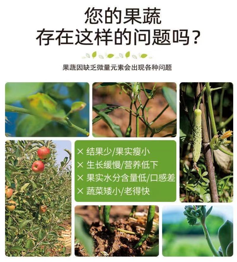 拍一送一钙镁硼锌铁钼1500克叶面肥送1瓶氨基酸