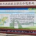 河北青县甜瓜种植基地一件代发