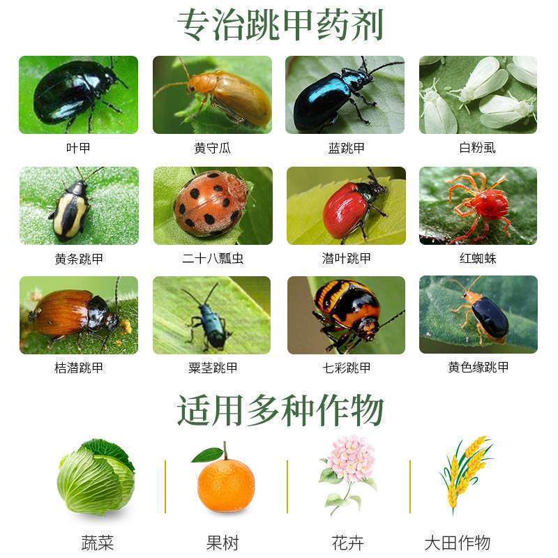 跳丁跳甲药跳甲粉柑橘树哒螨灵啶虫脒甘蓝农药杀虫剂组合
