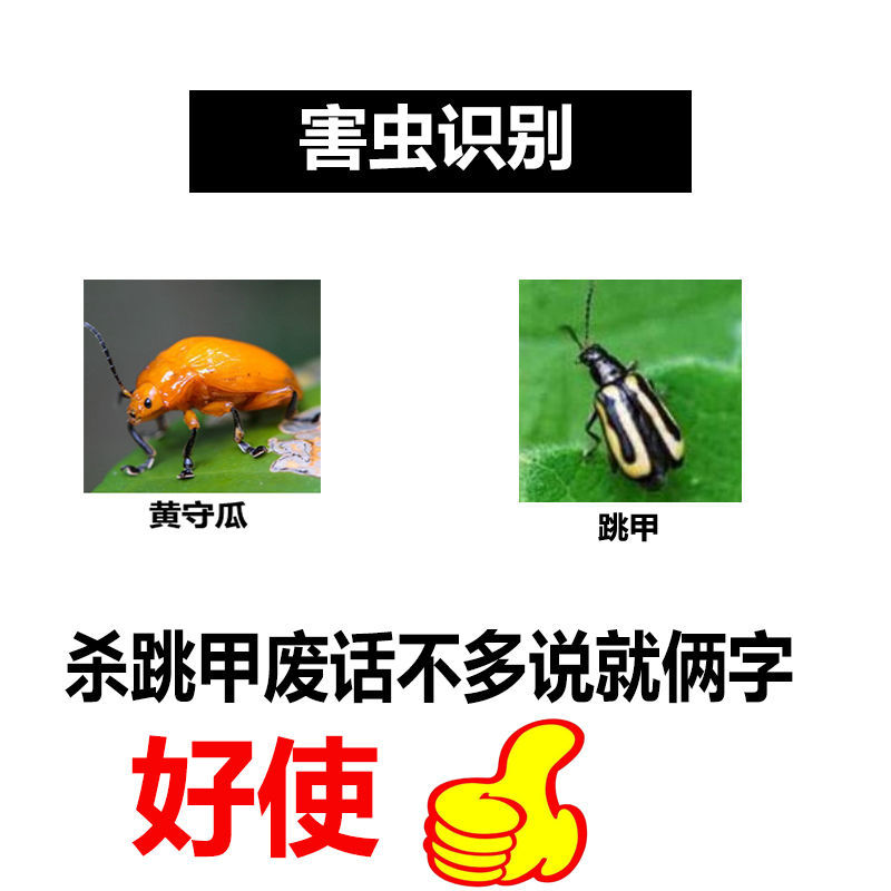 跳丙蔬菜专用杀虫剂黄条跳甲农药叶甲不烧叶小白菜萝卜跳甲