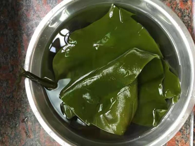 威海50-60公分深海精品海带头半干海带荣成产地直供