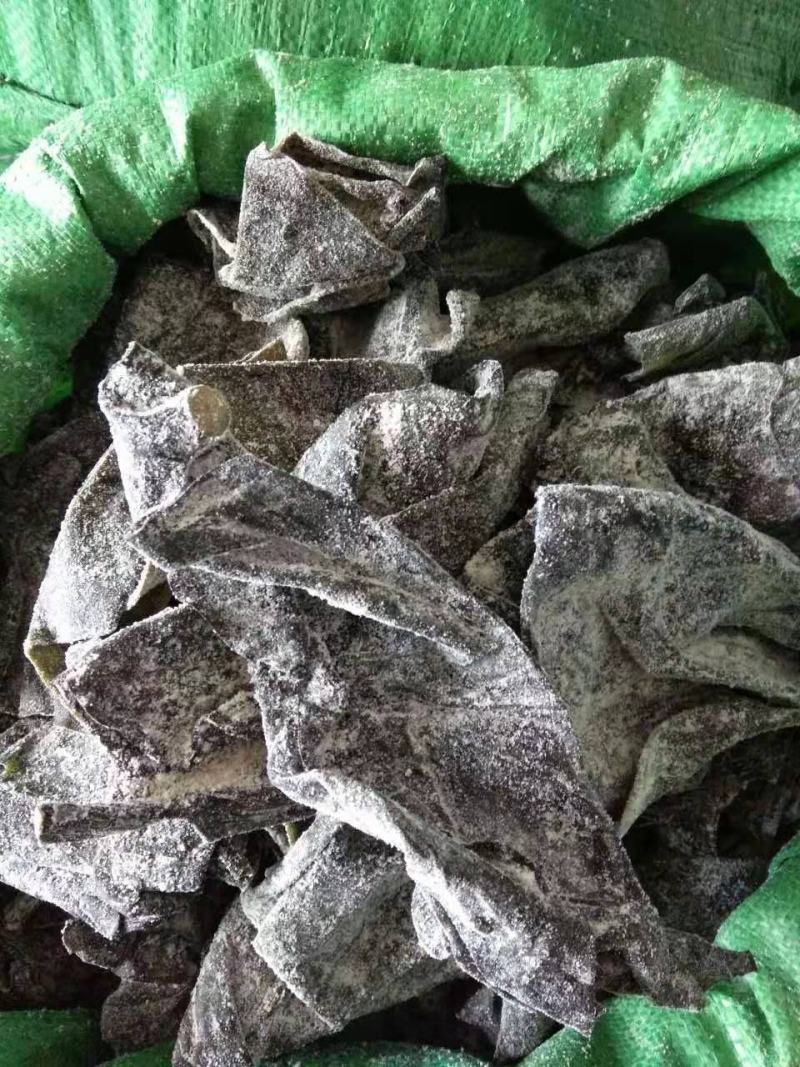 威海50-60公分深海精品海带头半干海带荣成产地直供