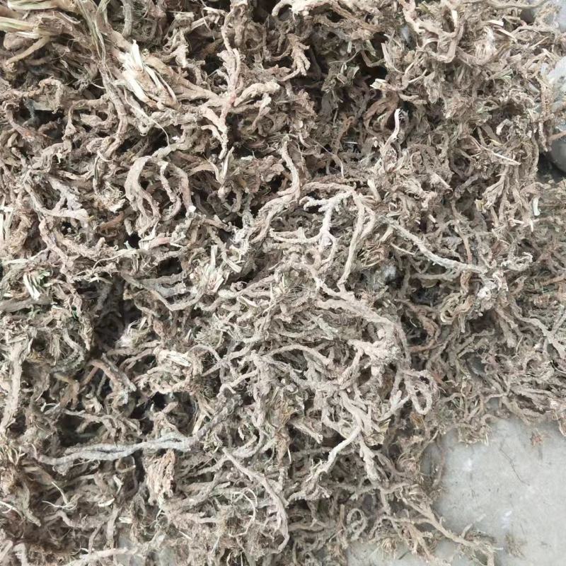 石菖蒲干货