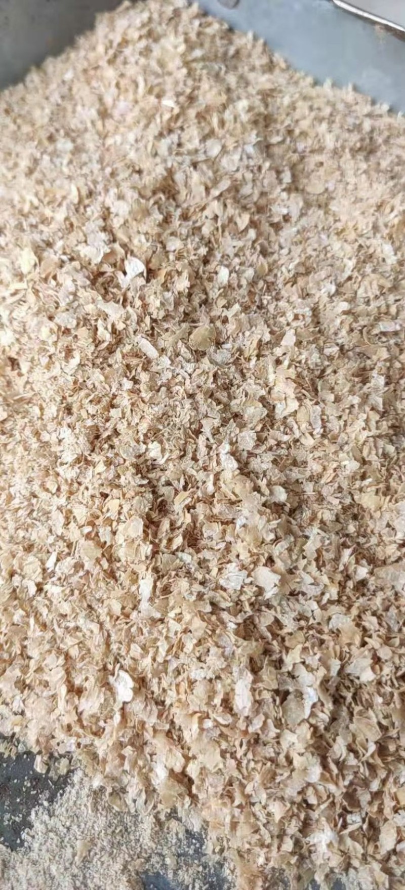 纯大片麦麸工厂直销批发