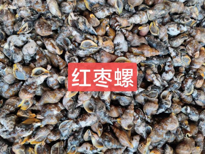 龙虾尾