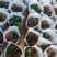 长寿花系列产品盆花