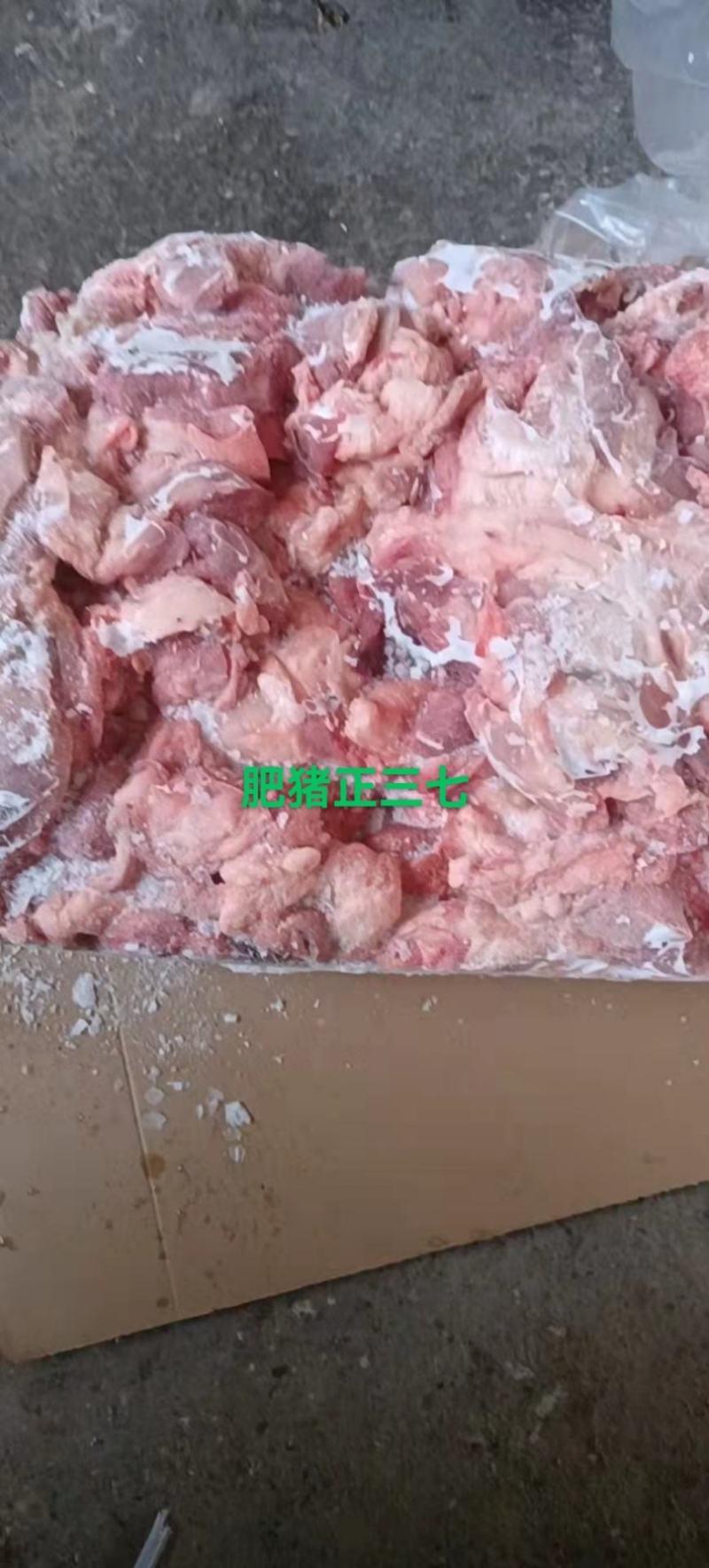 肥猪正三七