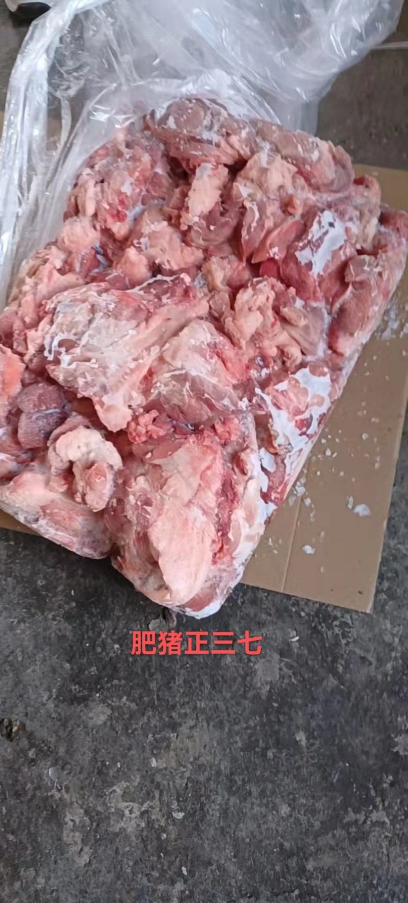 肥猪正三七