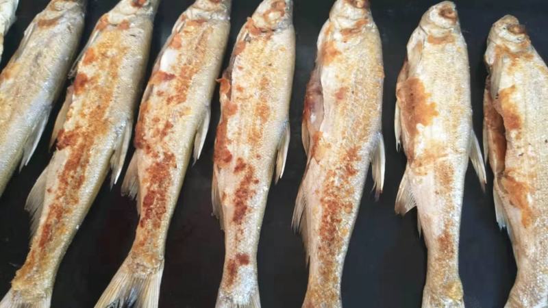 纯手工柴火炕白条（蓝刀鱼）已剖肠杂，干净香甜肉嫩