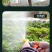 超农力锂电小型充电式抽水泵浇菜神器浇水机农用灌溉家用户外