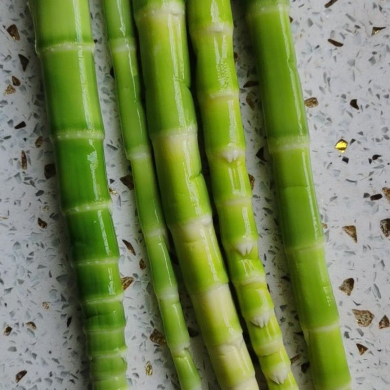 绿竹笋大量上市