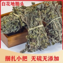 地胆草，一手货源，产地直供道地药材，药典标准品质保证