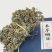 地胆草，一手货源，产地直供道地药材，药典标准品质保证