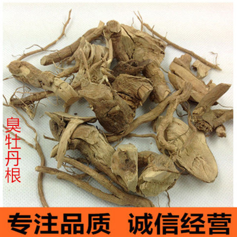 臭牡丹臭牡丹根中药材臭牡丹根臭枫根臭牡丹根