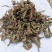 苦地胆草,野生采集一手货源,产地直供道地药材,药典标准品