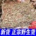 苦地胆草,野生采集一手货源,产地直供道地药材,药典标准品