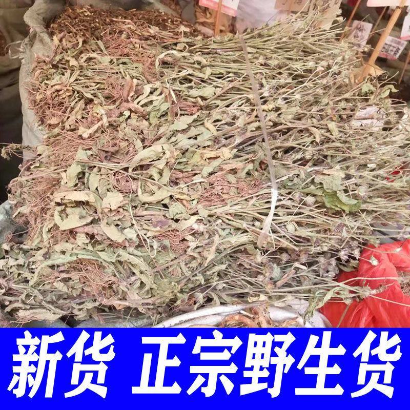 苦地胆草，野生采集一手货源，产地直供道地药材，药典标准品