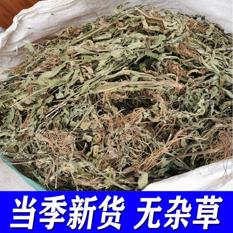 苦地胆草，野生采集一手货源，产地直供道地药材，药典标准品