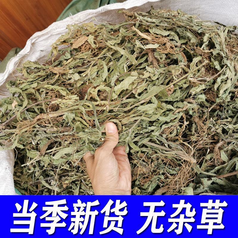 苦地胆草，野生采集一手货源，产地直供道地药材，药典标准品