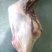 鲜羊肉大草原烤羊前腿鲜羊肉基地直发视频看货质量好价格低