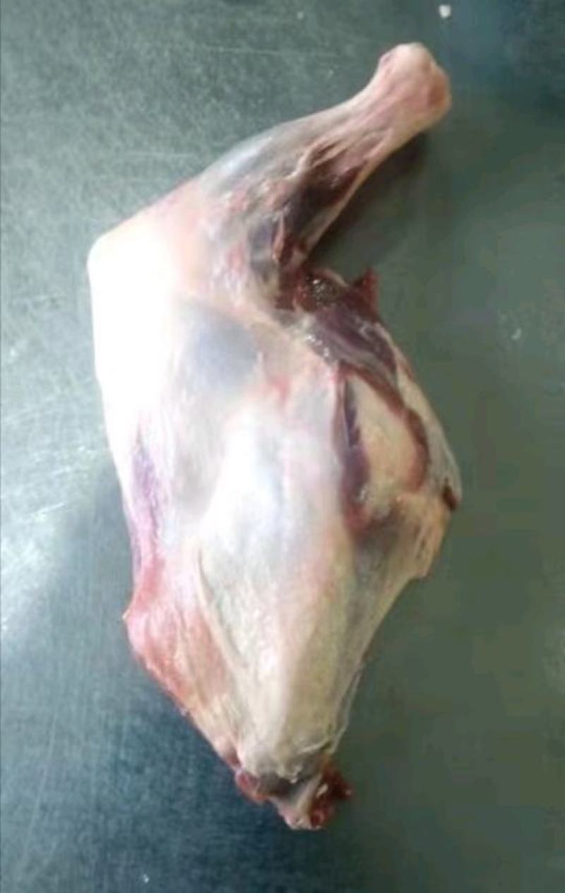 鲜羊肉大草原烤羊前腿鲜羊肉基地直发视频看货质量好价格低