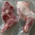 鲜羊肉大草原烤羊前腿鲜羊肉基地直发视频看货质量好价格低