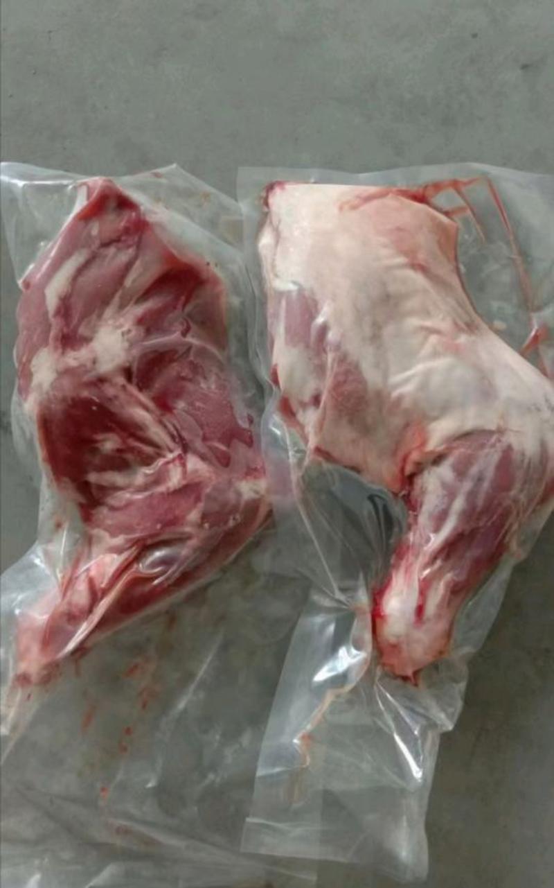鲜羊肉大草原烤羊前腿鲜羊肉基地直发视频看货质量好价格低