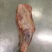 鲜羊肉大草原烤羊前腿鲜羊肉基地直发视频看货质量好价格低