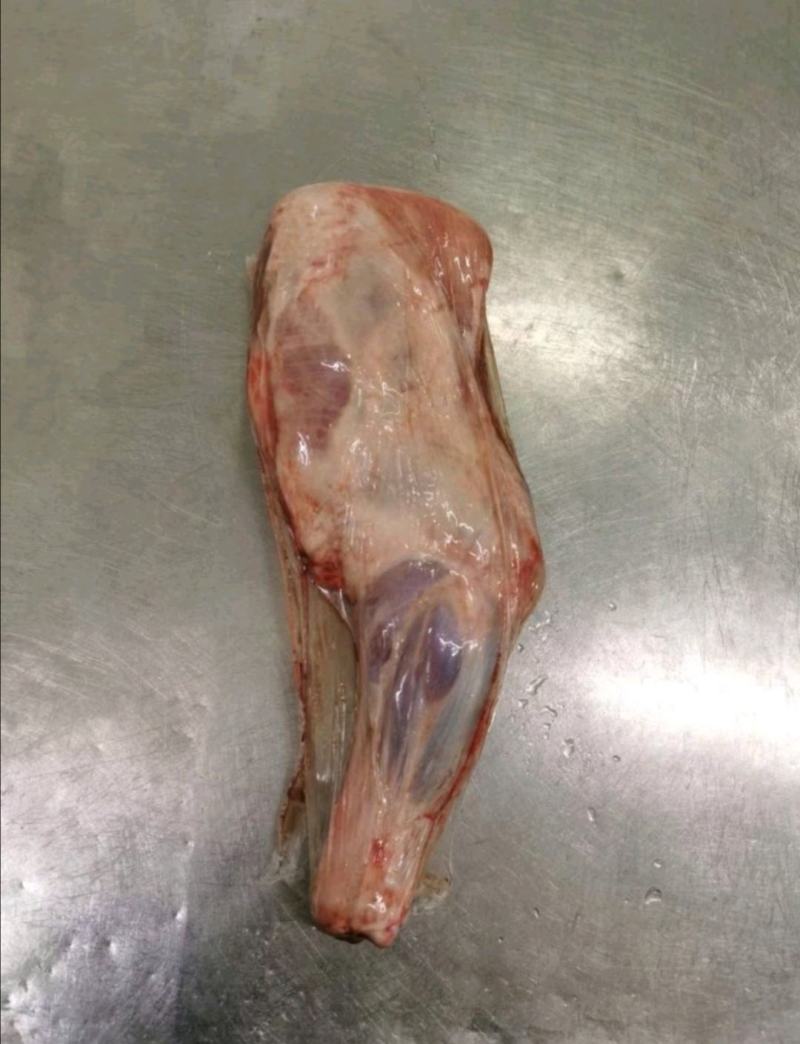 鲜羊肉大草原烤羊前腿鲜羊肉基地直发视频看货质量好价格低