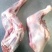 鲜羊肉大草原烤羊前腿鲜羊肉基地直发视频看货质量好价格低