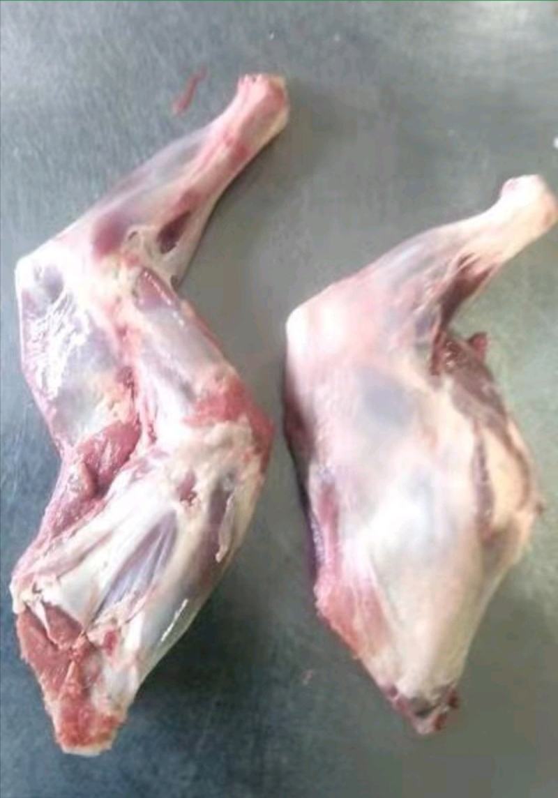 鲜羊肉大草原烤羊前腿鲜羊肉基地直发视频看货质量好价格低