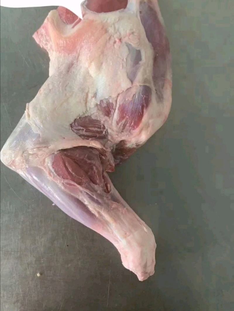 鲜羊肉大草原烤羊前腿鲜羊肉基地直发视频看货质量好价格低