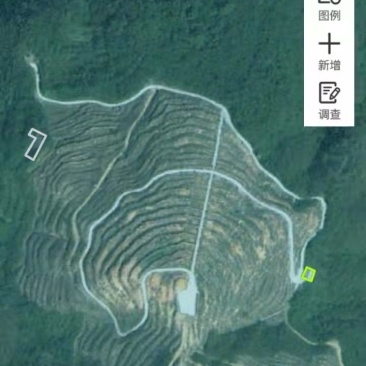 出租山地，可种油茶苗，实面积约300亩。