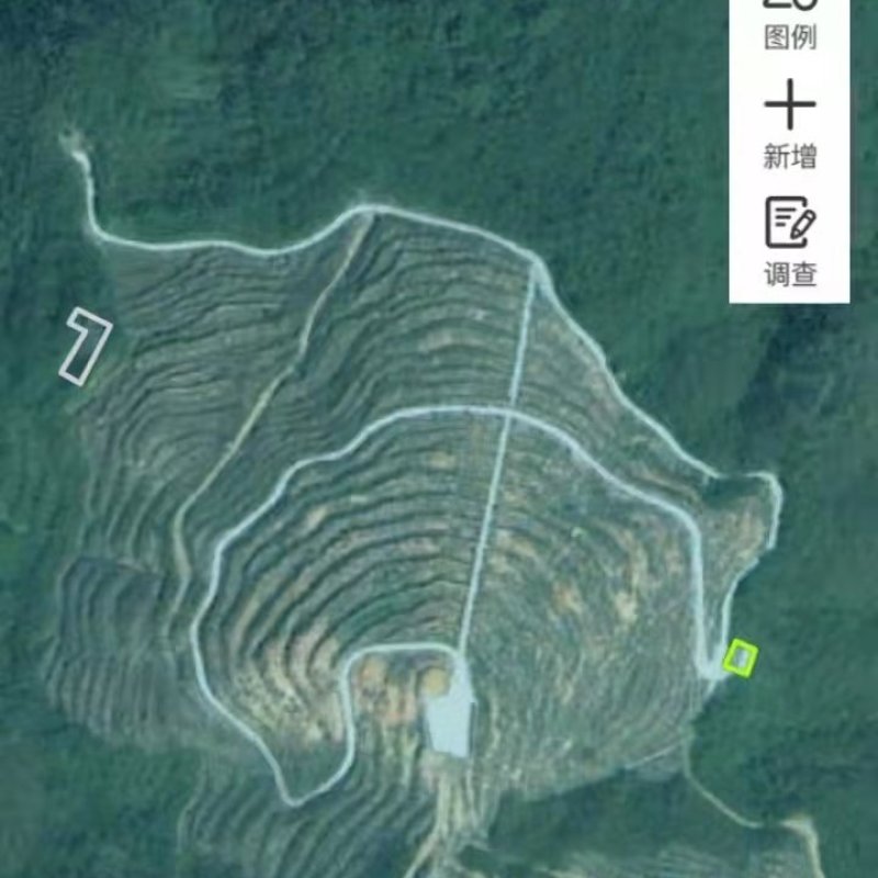 出租山地，可种油茶苗，实面积约300亩。