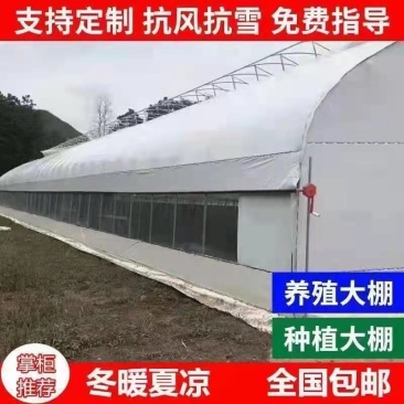 成套大棚货到付款养殖大棚养猪牛羊鸡鸭鸽鹅大棚