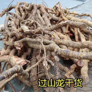 过山龙鲜条,一手货源新货,产地直供道地药材,药材品质保证