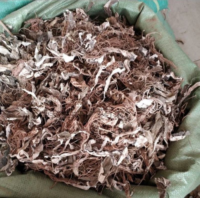 毛大丁草，一手货源，一支香，白眉草，产地直供道地药材，