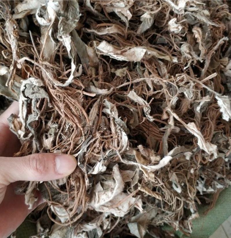 毛大丁草，一手货源，一支香，白眉草，产地直供道地药材，