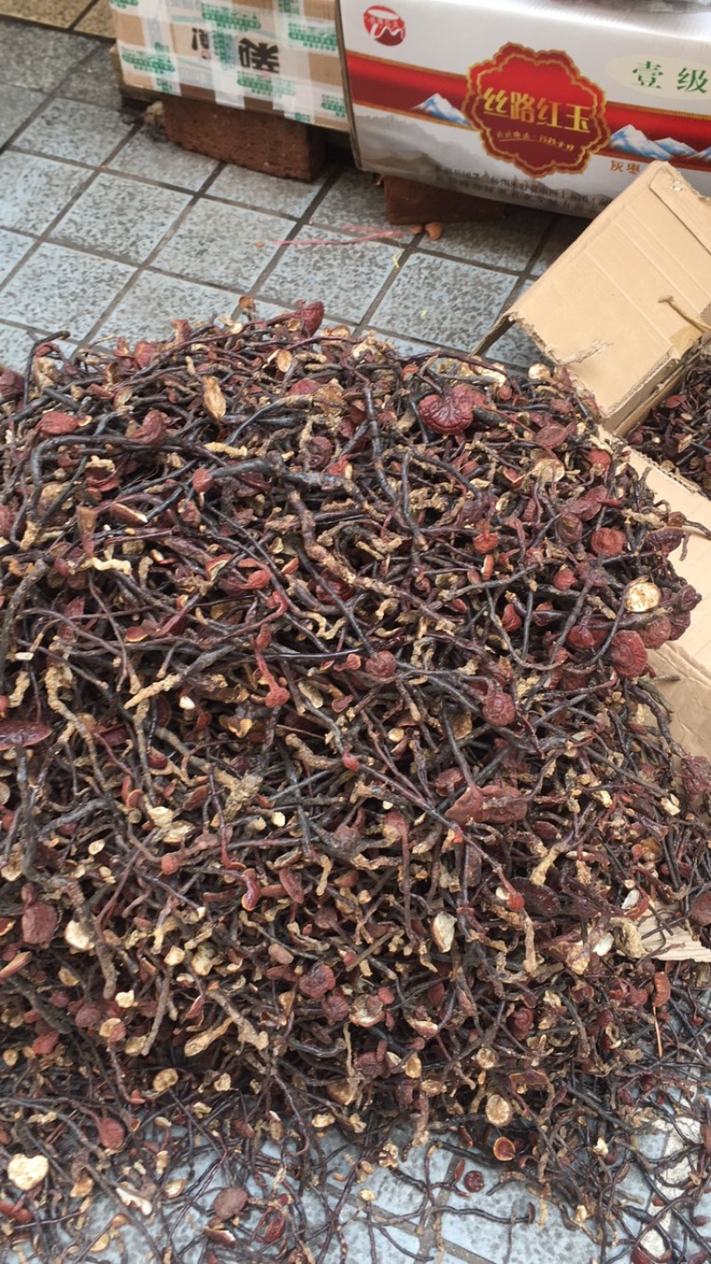 灵芝王小红灵芝*靓现货供应一手货源