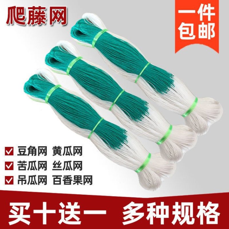 豆角黄瓜苦瓜丝瓜吊瓜豌豆百香果瓜网植物爬藤网种植网攀爬农