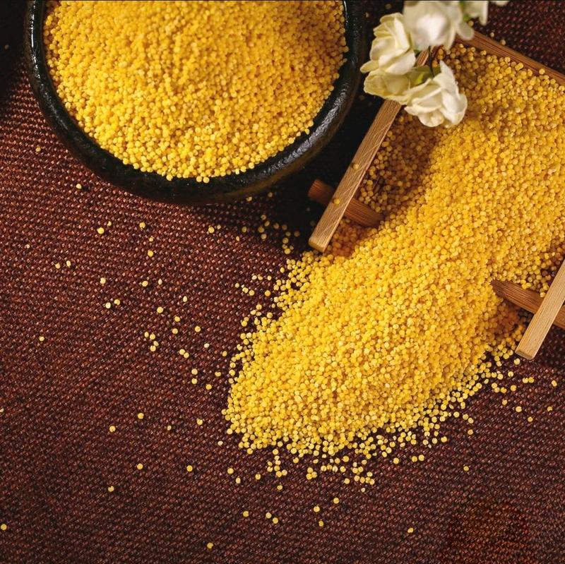 太空1号沁州黄有机富硒小米不打农药不施化肥
